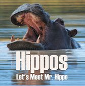 Animal Encyclopedia For Kids - Hippos - Let's Meet Mr. Hippo