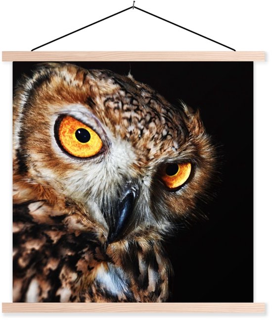 Porte-affiche avec affiche - Affiche scolaire - Hibou - Zwart - Jaune - 40x40 cm - Lattes vierges