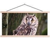 Posterhanger incl. Poster 150x75 cm - Schoolplaat - Uil - Close up - Boom - Textielposter - Blanke latten