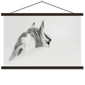 Porte-affiche avec affiche - Affiche scolaire - Cheval - Wit - Grijs - 150x100 cm - Lattes noires
