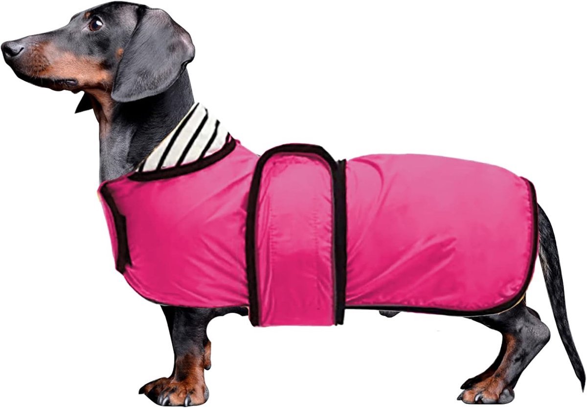 Stunq® Duurzame Waterdichte Regenjas voor Honden - Bescherming en Bewegingsvrijheid