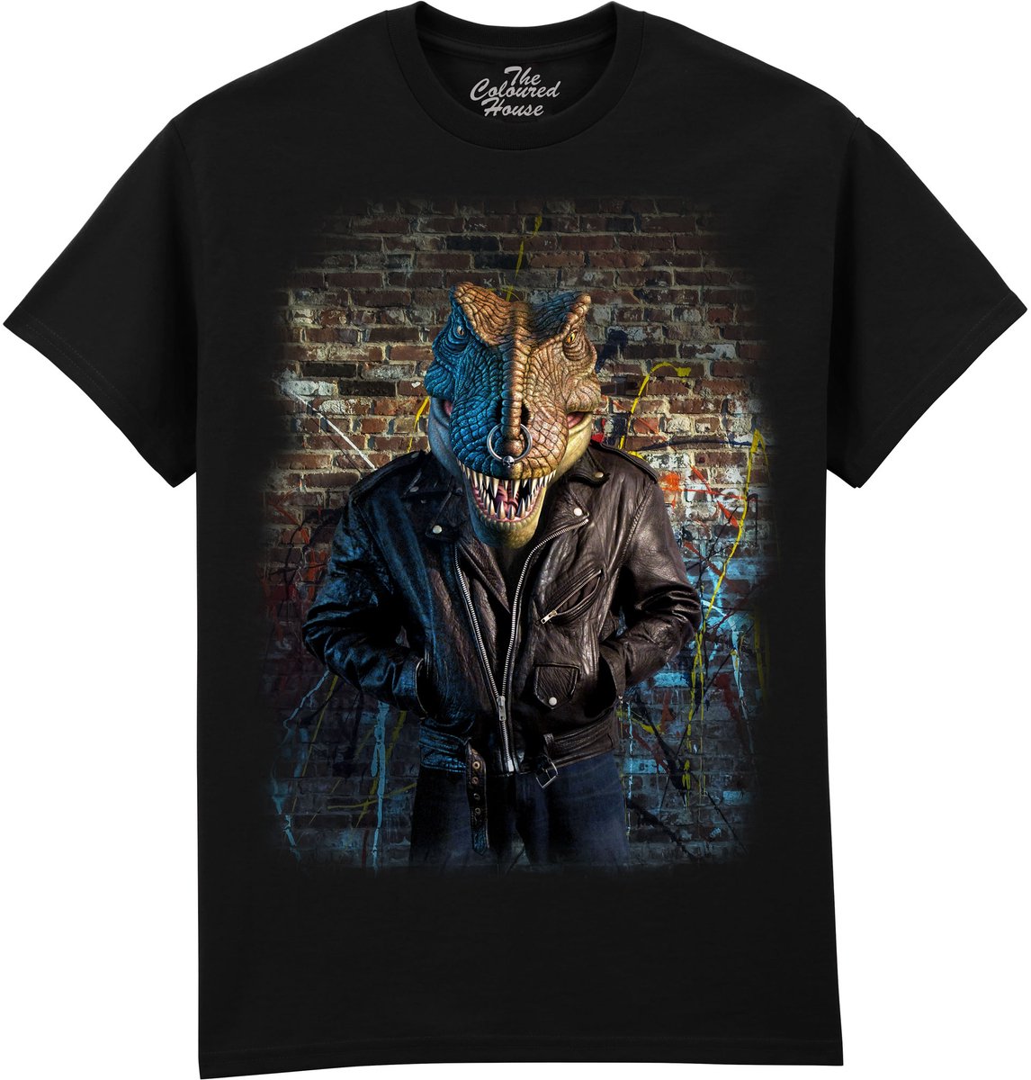 Dinosaurus Nas T-Rex The Coloured House T-shirt 4XL
