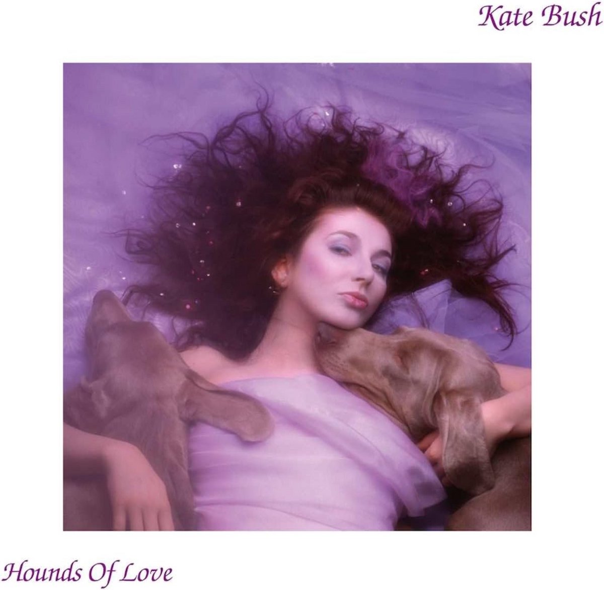 Hounds of Love - 2018 Remaster Muziekalbum