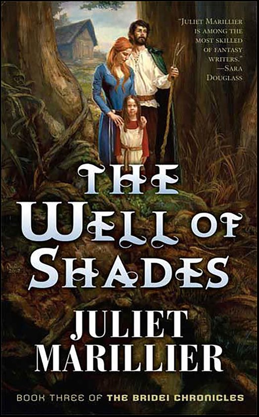 The Bridei Chronicles 3 - The Well of Shades