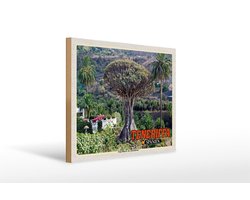 Holzschild Reise 40x30cm Teneriffa Drago Milenario-Tausendjährige