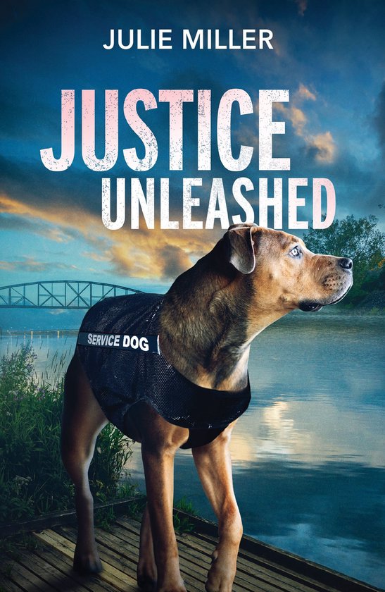 Mills & Boon Heroes - Justice Unleashed - cover