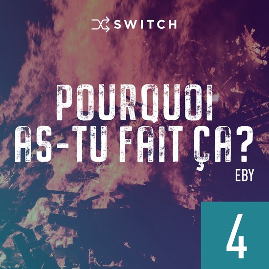 Pourquoi as-tu fait ça 4 - cover