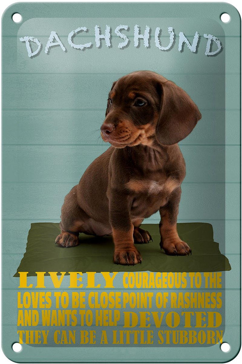 Blechschild Spruch 12x18cm Dachshund Hund lively devoted