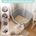 Een grote grijze kattenbak met kattenbakvulling. Een kat met witte en grijze vacht zit ernaast. Links: symbolen die verkeerd gebruik van kattenbakken afkeuren.