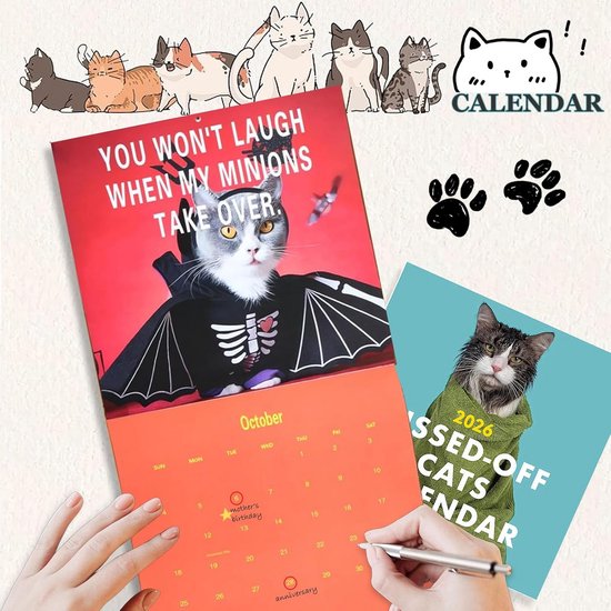 Monozoz Grote droog uitwisbare kalender, wandkalender droog uitwisbaar | Kleurrijke 2026 12 maanden kalender grote muurkalender - Creatieve werkkalender 12 maanden wandkalender voor thuisbedrijf