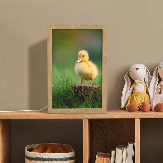 Nachtlampje 20x30 cm - Kinder lamp - Kuiken - Eend - Geel - Gras - Tafellamp kinderkamer - Slaapkamer lamp - Bedlamp kinderen - Kinderlampje stopcontact - Wandlamp babykamer - Nachtlampjes van Merkloos — afbeelding 3