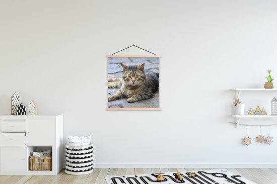 Porte-affiche avec affiche - Affiche scolaire - Chat - Animal - Marron - Filles - Enfants - Garçons - Enfant - 90x90 cm - lattes vierges