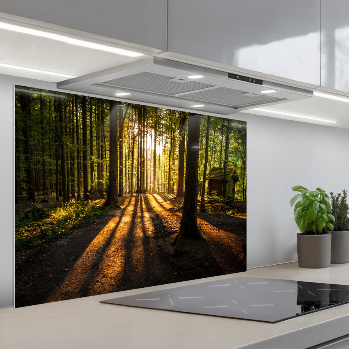 Spatscherm 80x55 cm - Zelfklevende achterwand Zon - Bomen - Bos - Landschap - Natuur - Keuken muurbeschermer - Spatwand fornuis