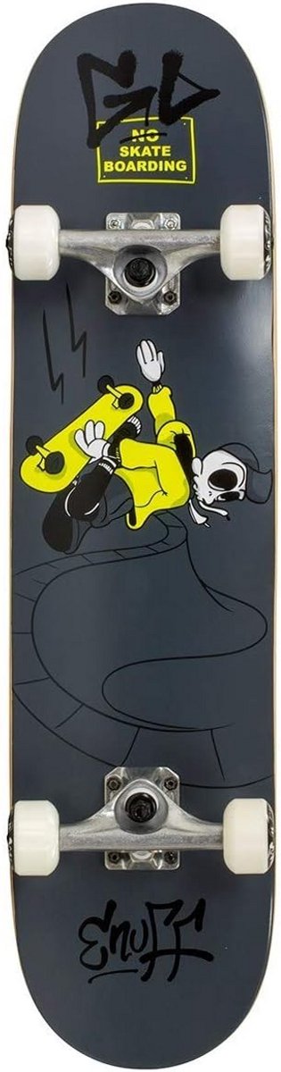Compleet Skateboard voor Beginners Stevig Deck en Goede Grip