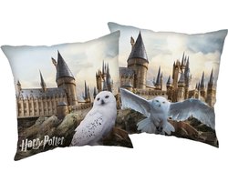 foto van Harry Potter Sierkussen Hedwig - 40 x 40 cm - Polyester