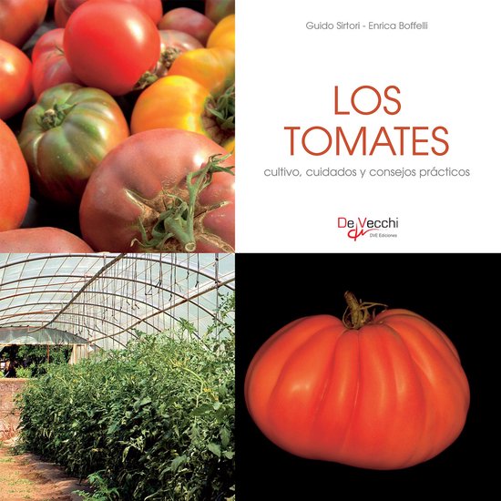 Los tomates - cultivo, cuidados y condejos prácticos - cover
