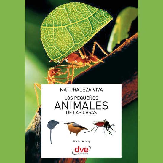 Los pequeños animales de las casas - cover