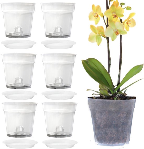 BAAQII Set van 12 transparante plantenpotten voor binnen BAAQII Set van 12 transparante plantenpotten voor binnen