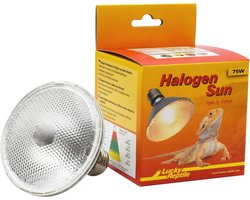Halogeen Warmtelamp voor Reptielen - 75 W Terrariumlamp met Dimbare Functionaliteit