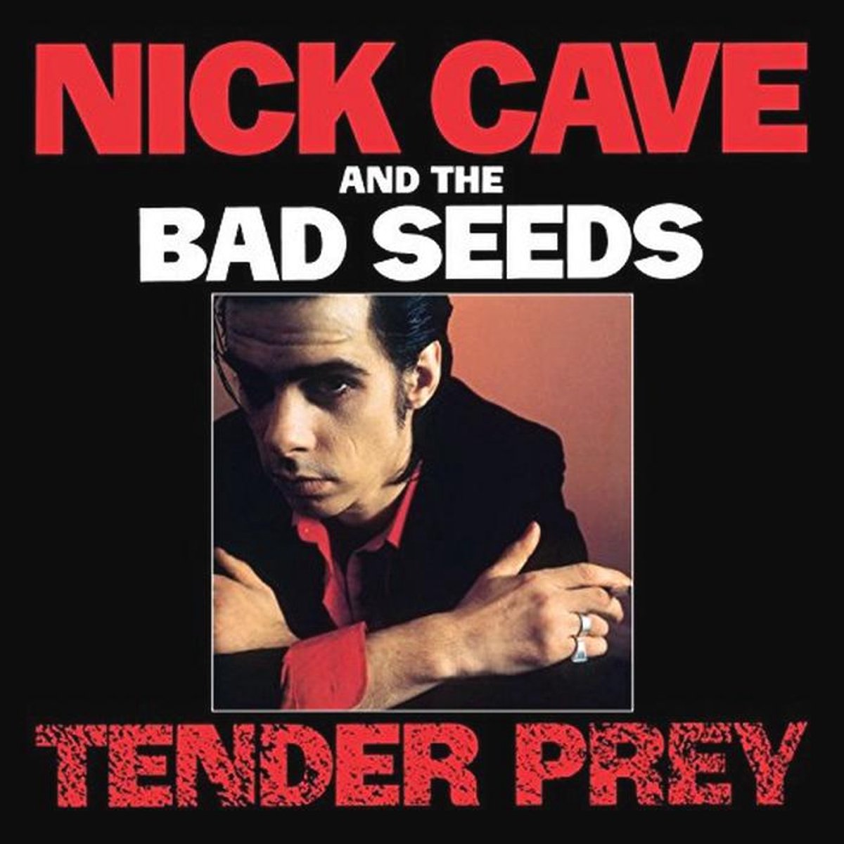 Emotionele Muziek van Nick Cave & The Bad Seeds - Tender Prey