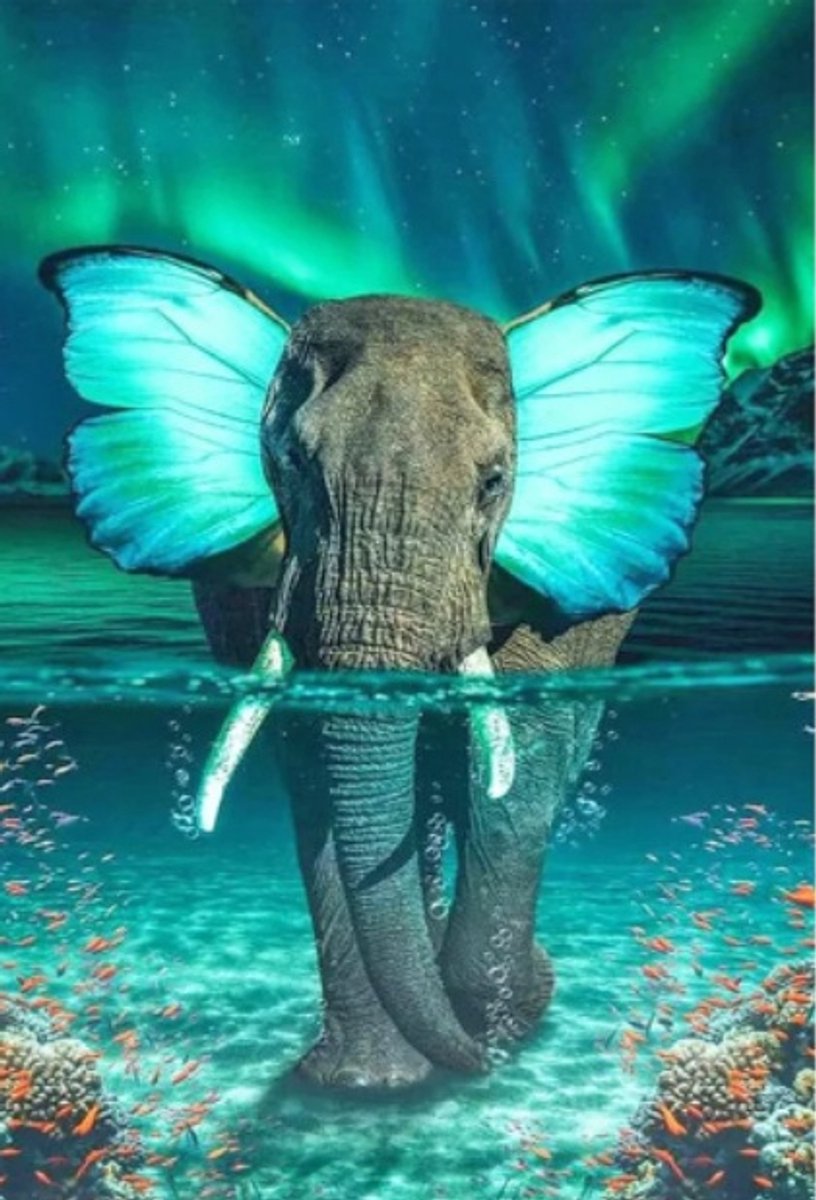 Diamond painting – olifant – 40x30 cm