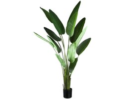 PTMD Kunstplant Strelitzia - 110x63x235 cm - Polyester - Groen