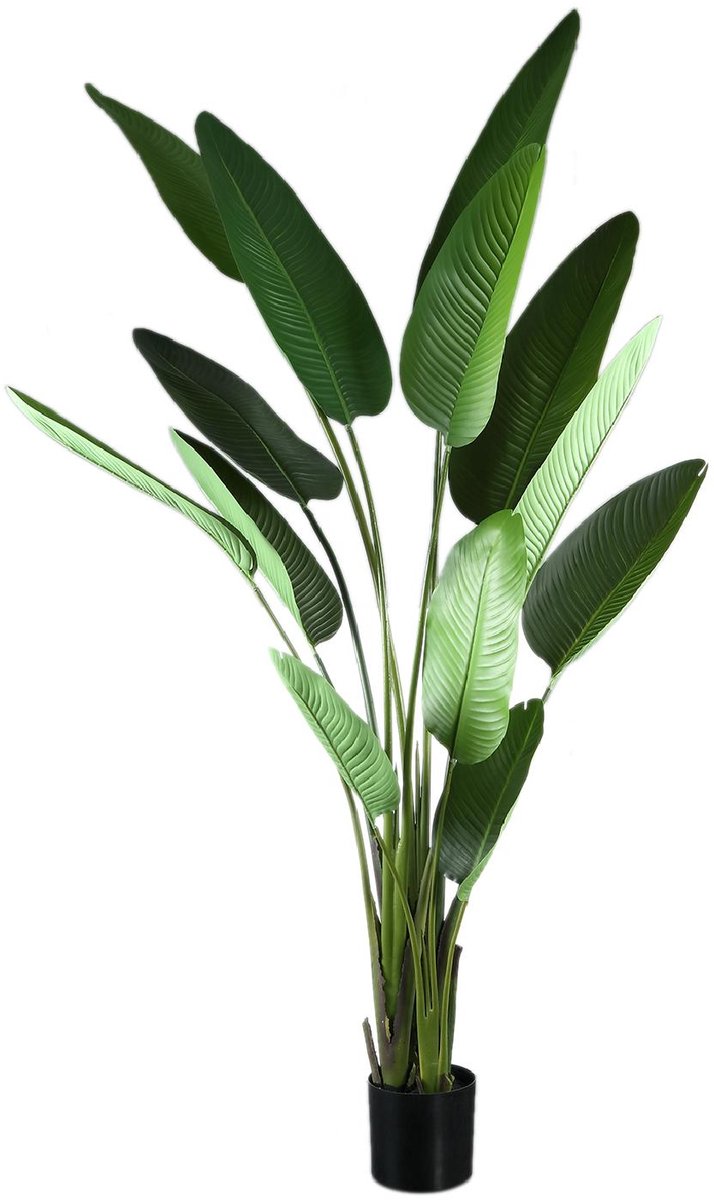 PTMD Kunstplant Strelitzia - 110x63x235 cm - Polyester - Groen