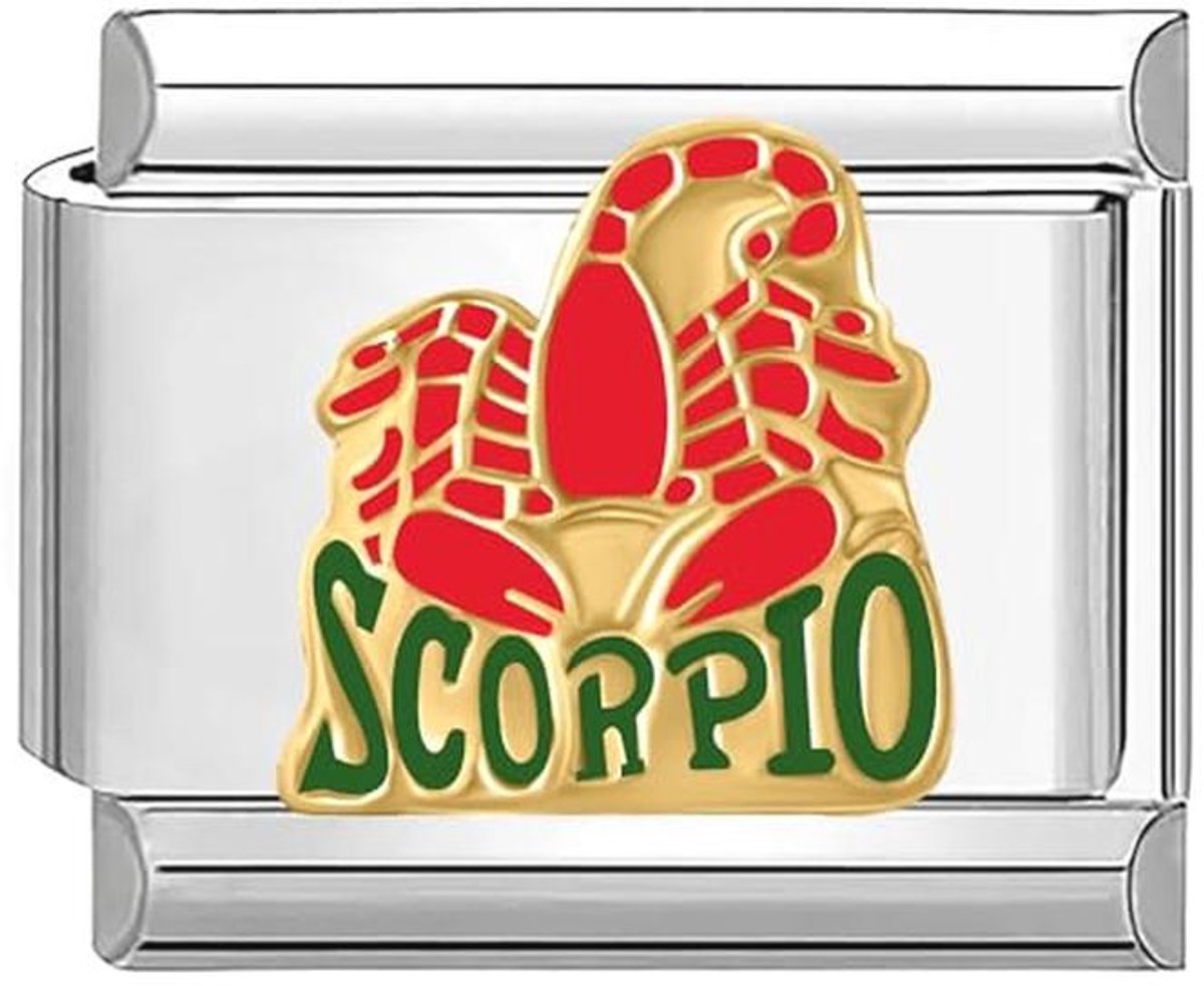 9mm Italiaanse Schakel Bedel voor Armbanden - Roestvrij Staal Horoscoop Schorpioen