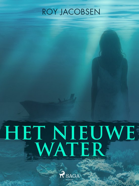 Het nieuwe water - cover