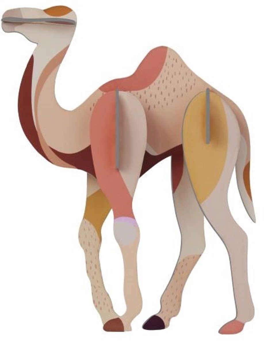 Wild Animals - Camel