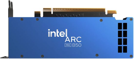 Intel Arc Pro B50 16GB GDDR6 Grafis...