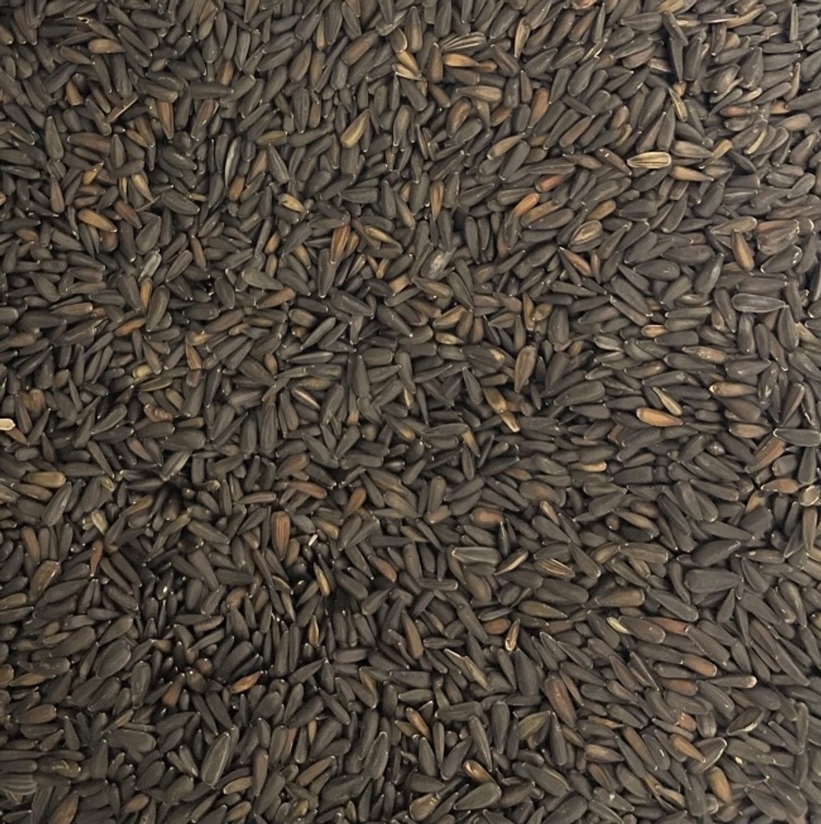 Zonnebloempitten micro zwart - 1 kilo - Overige zaden - Vogelvoer - Vogelzaad - Enkelvoudige vogelzaden