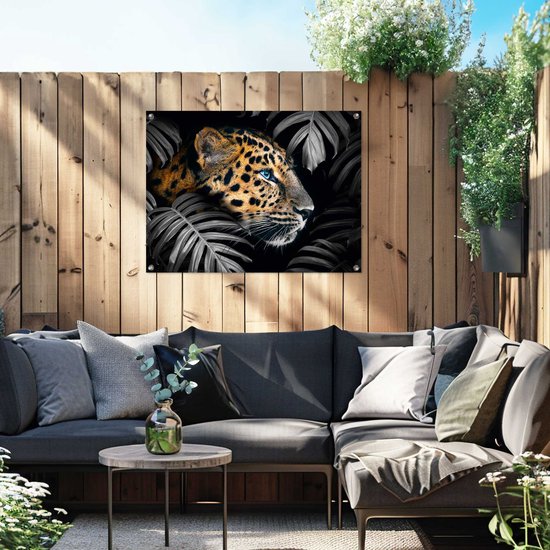 Affiche de jardin Léopard de la jungle