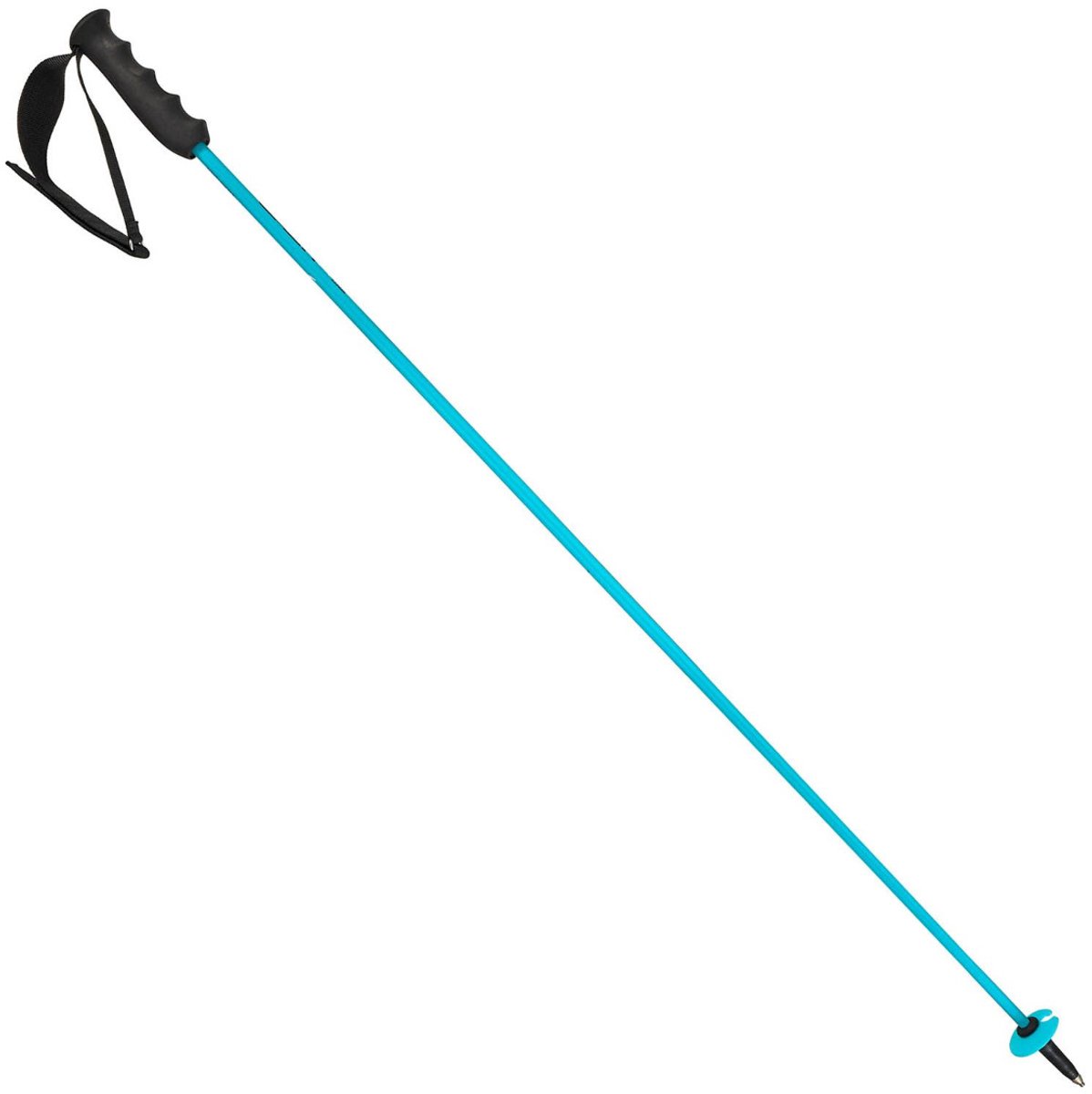 HEAD worldcup rebels carbon Skistokken heren Blauw