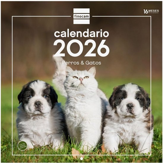 Calendario 2026 finocam pared 30 x 30 cm perros y gatos - Material de