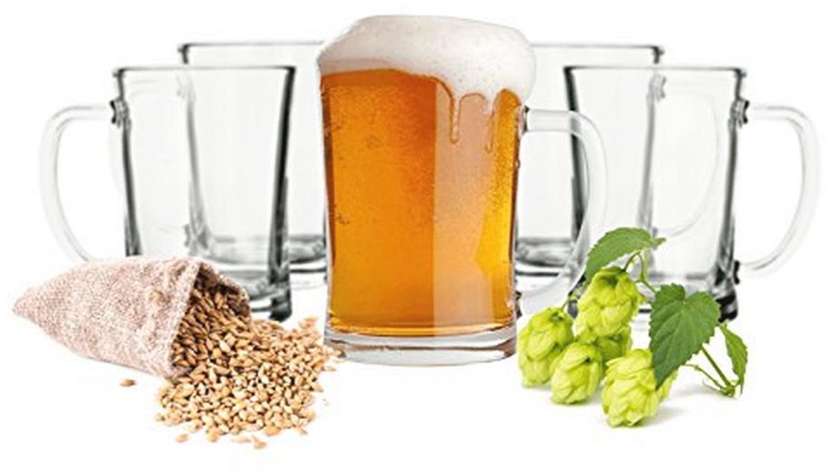 Set van 6 Bierglazen van 0,5L - Ideaal voor Feestjes