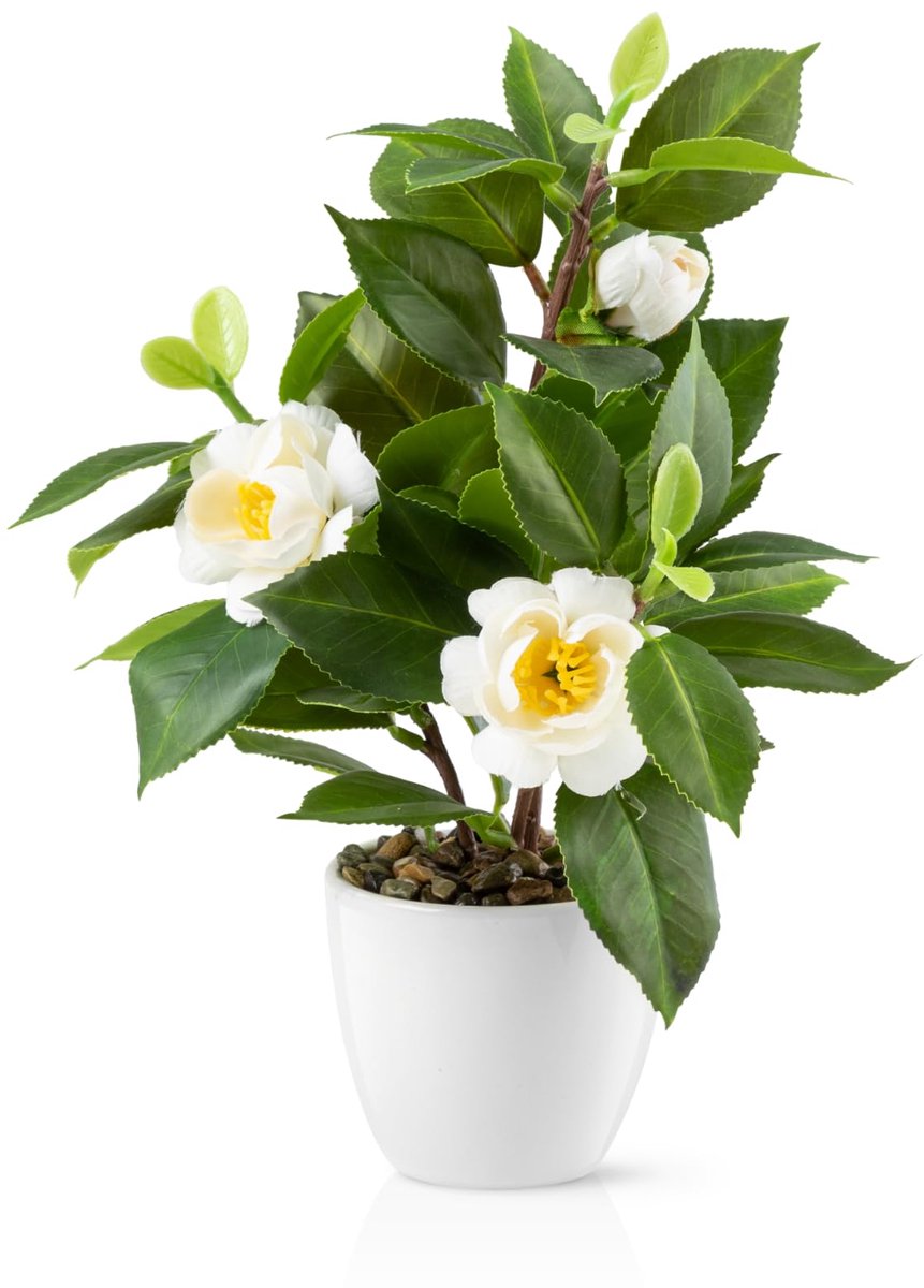 Unyqoos Decoratieve kunstbloem Camelia in keramische pot voor elk interieur Wit