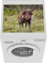Wasmachine beschermer mat - Zwijn - Dier - Gras - Breedte 55 cm x hoogte 45 cm