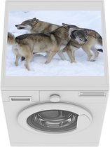 Wasmachine beschermer mat - Wolf - Europa - Sneeuw - Breedte 55 cm x hoogte 45 cm