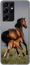 Geschikt voor Samsung Galaxy S21 Ultra hoesje - Dieren - Paarden - Veulen - Siliconen Telefoonhoesje