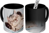 Magische Mok - Foto op Warmte Mok - Kitten - Slaap - Bed - 350 ML - Uitdeelcadeautjes