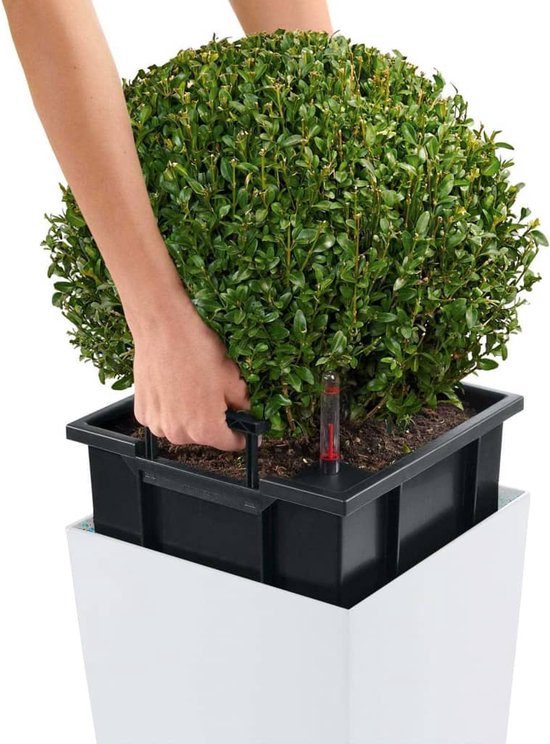 LECHUZA Plantenbak Cubico Color Kunststof All-in-One Set wit 30 x 30 x 56 cm kopen