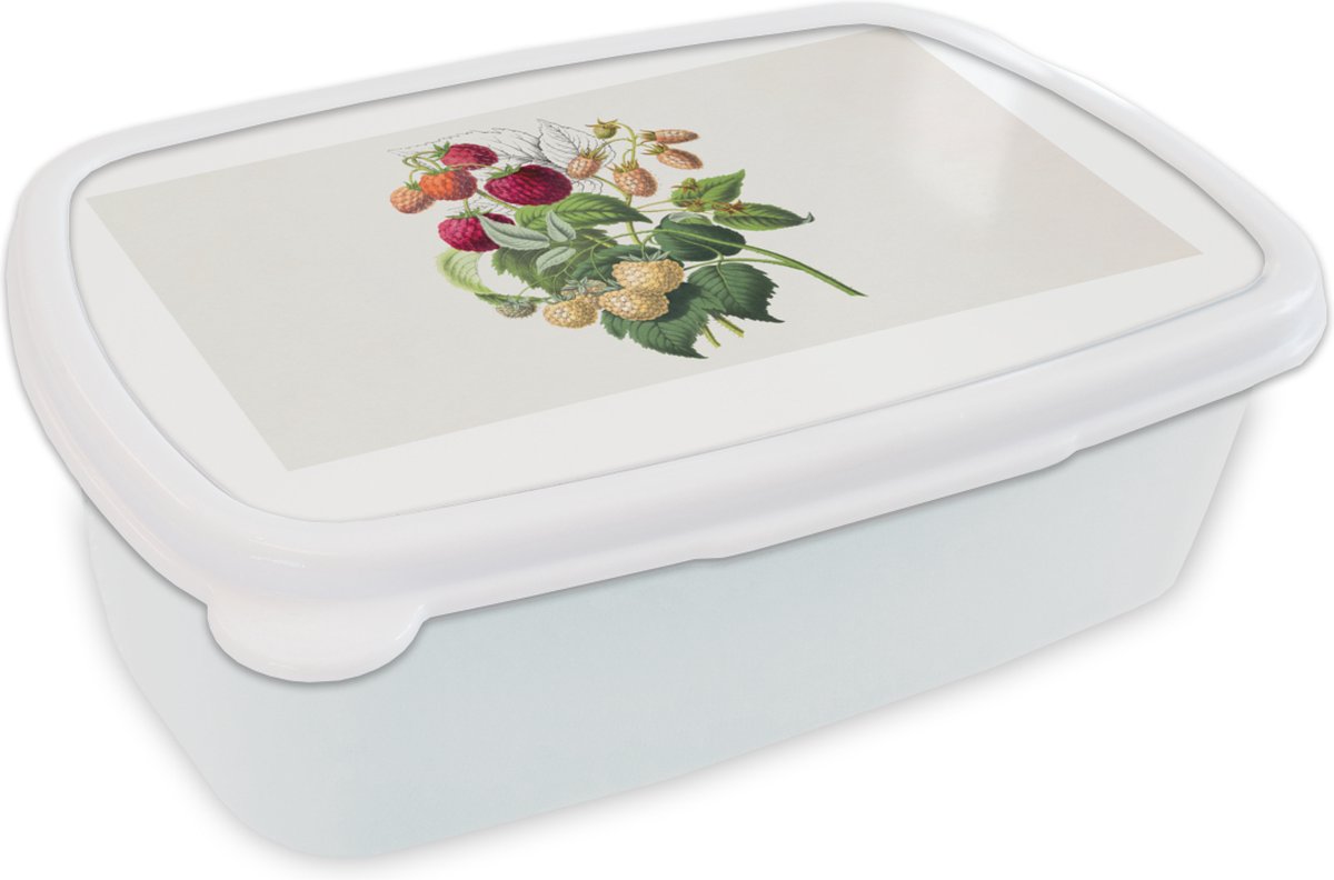 Broodtrommel Wit - Lunchbox - Brooddoos - Aardbei - Fruit - Vintage - 18x12x6 cm - Volwassenen