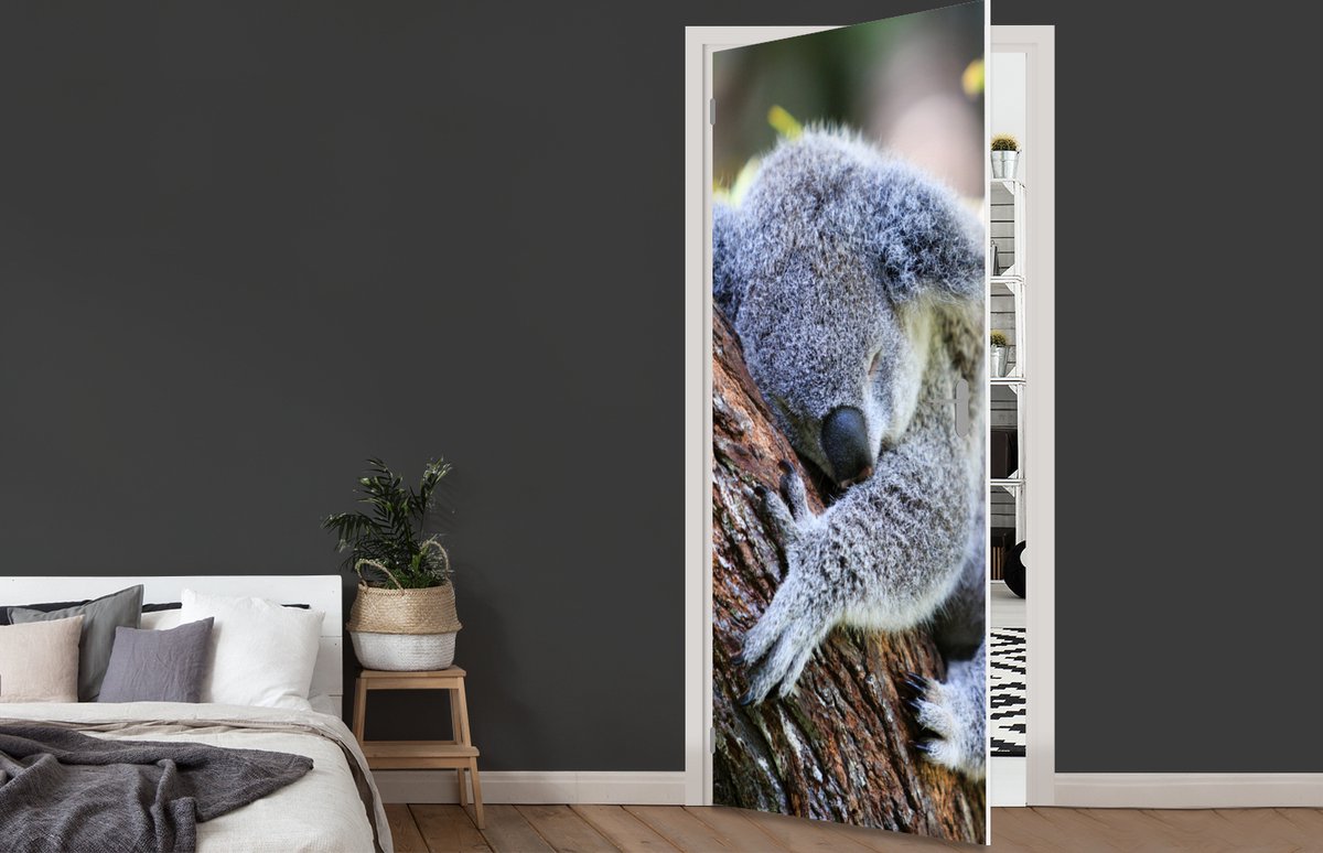 Afbeelding van product StickerSnake  Koala - Boomstam - Knuffel Aluminium