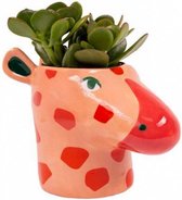 bloempot Giraffe 8 cm keramiek rood