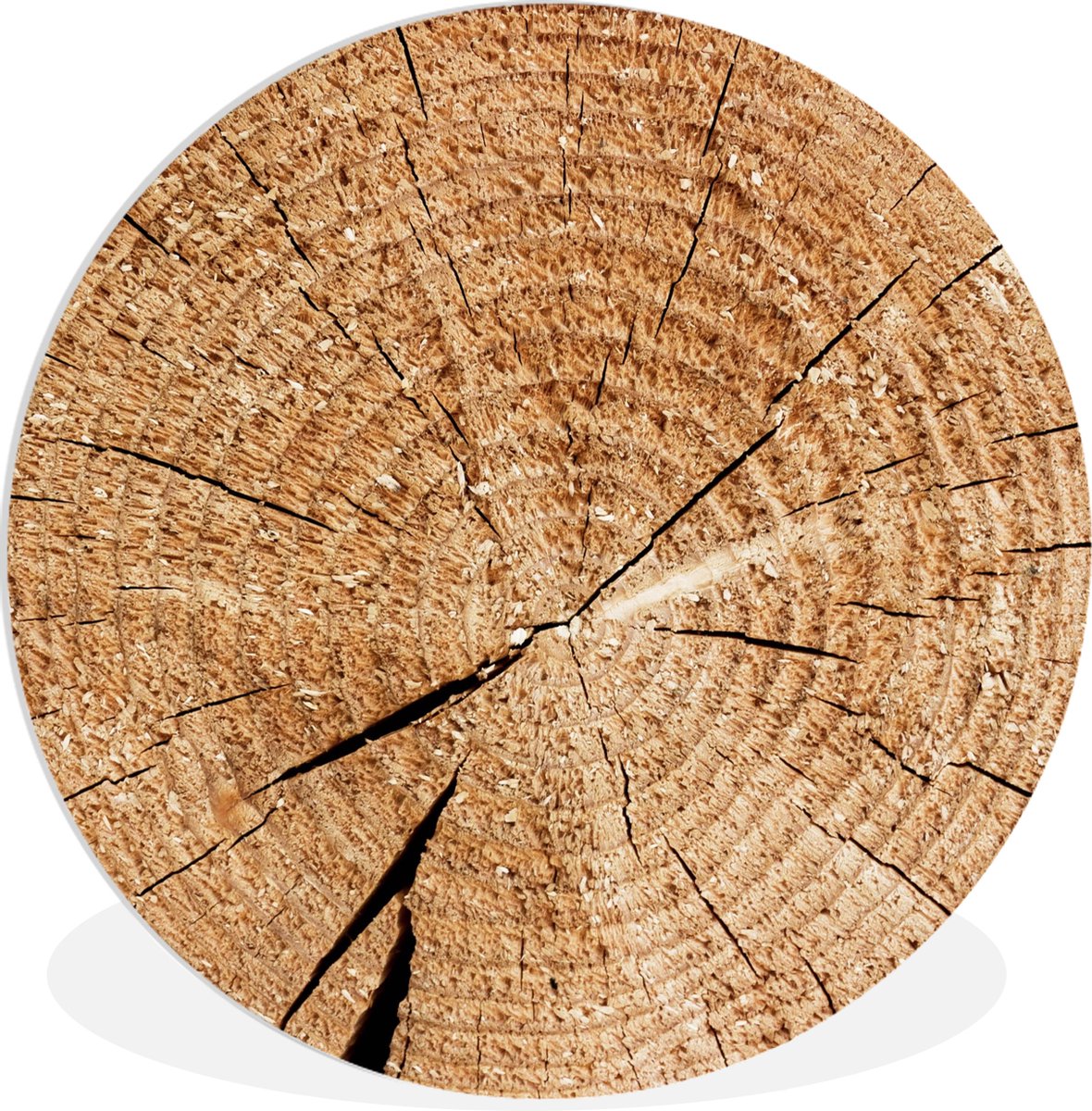 WallCircle® Wandcirkel 150x150 cm - Muurcirkel Boomstam - Jaarringen - Hout - Muurdecorati