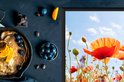 Gedetailleerde opname van rode klaprozen en blauwe korenbloemen onder een heldere blauwe hemel, met witte wolken.