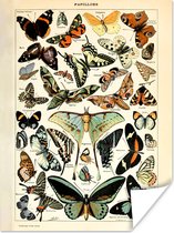 Affiche Adolphe Millot - Papillon - Animaux - Insectes - Vintage - 90x120 cm