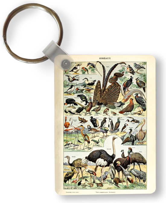 Sleutelhanger - Vogel - Natuur - Dieren - Vintage - Kunstwerk - Uitdeelcadeautjes - Plastic