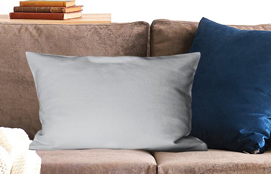 Coussins Coussins décoratifs - Oreillers Salon - 60x40 cm - Intérieur - Grijs - Clair